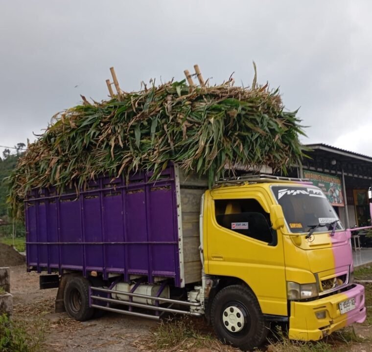 Feed & Raw Material