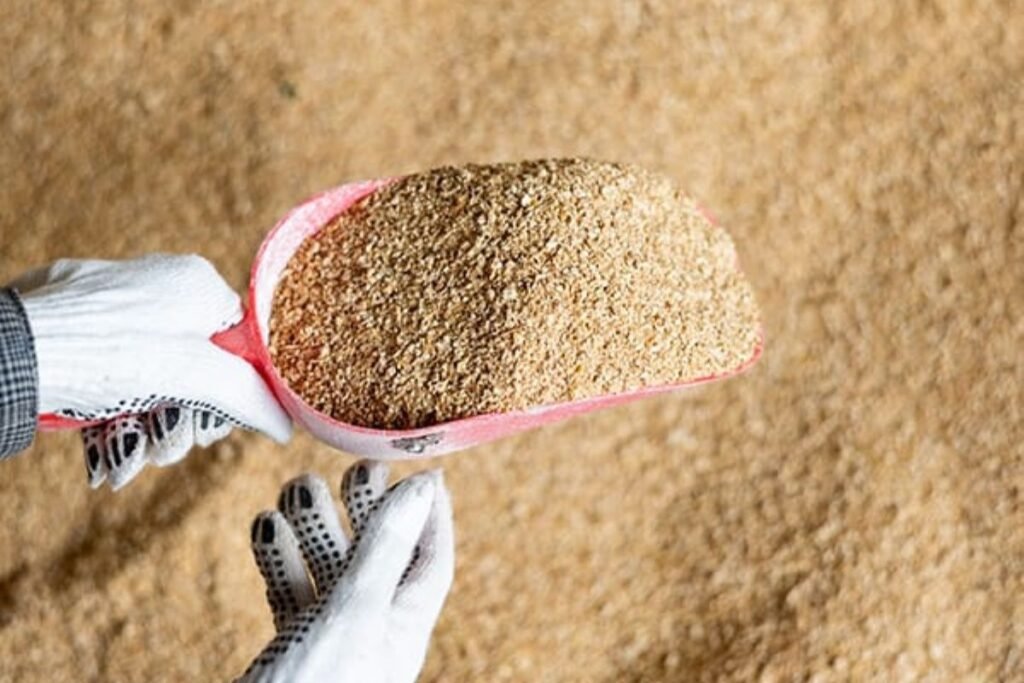 Soy Bean Meal (SBM)