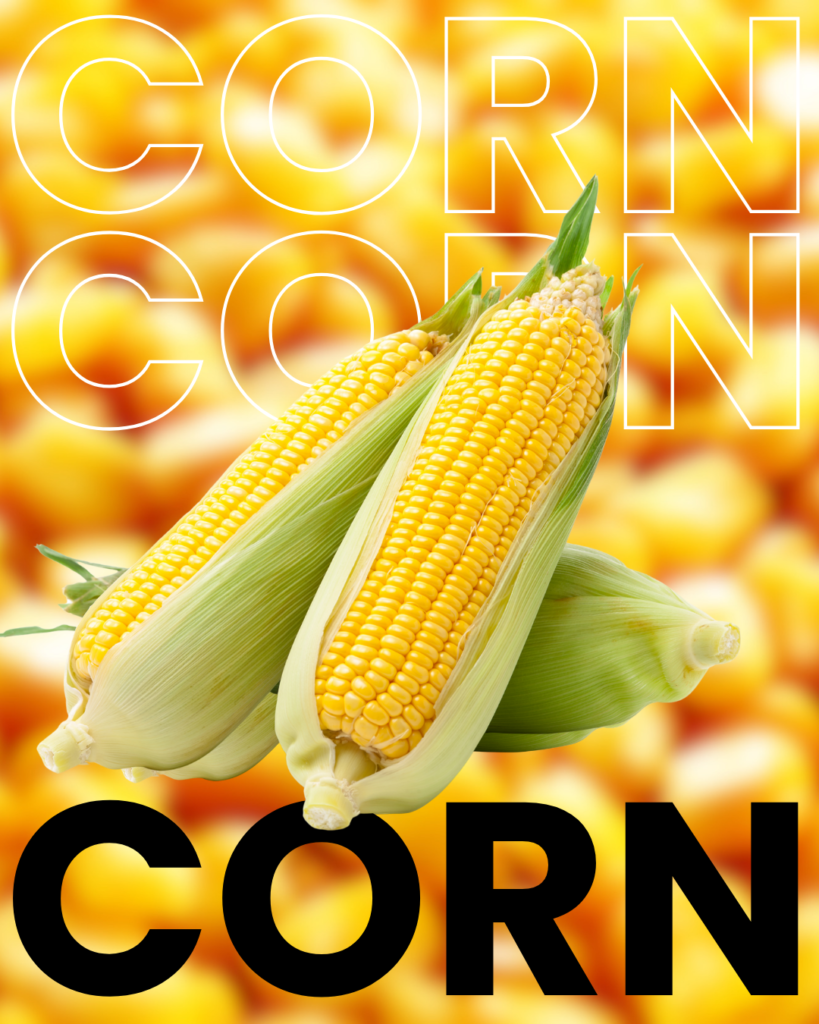 CORN