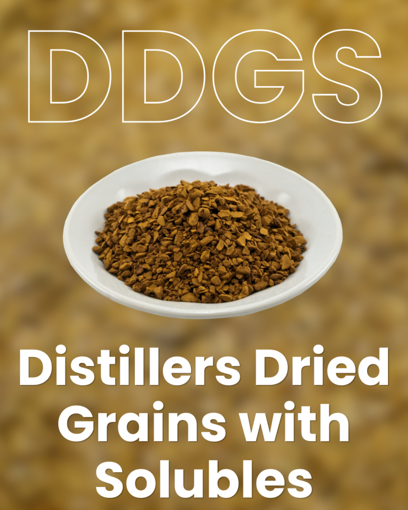 Distillers Dried Grains with Solubles